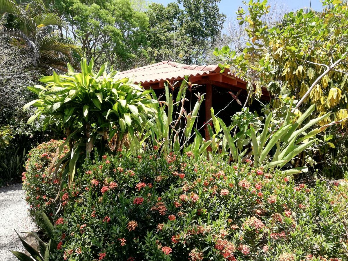 Bed and Breakfast Mundo Goub'Art Cabuya  Esterno foto
