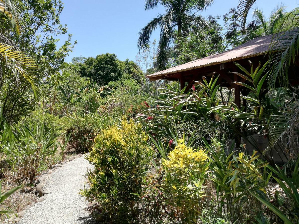 Bed and Breakfast Mundo Goub'Art Cabuya  Esterno foto