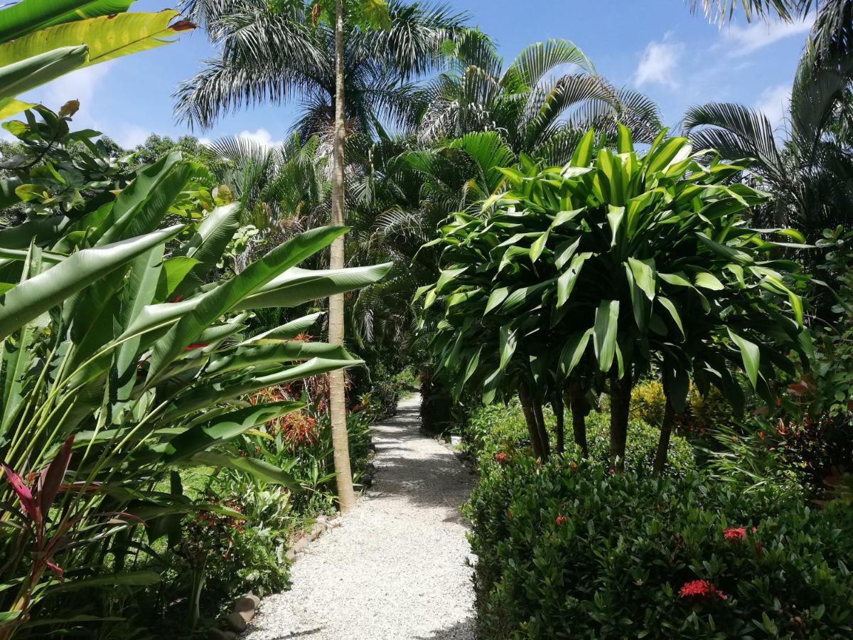 Bed and Breakfast Mundo Goub'Art Cabuya  Esterno foto