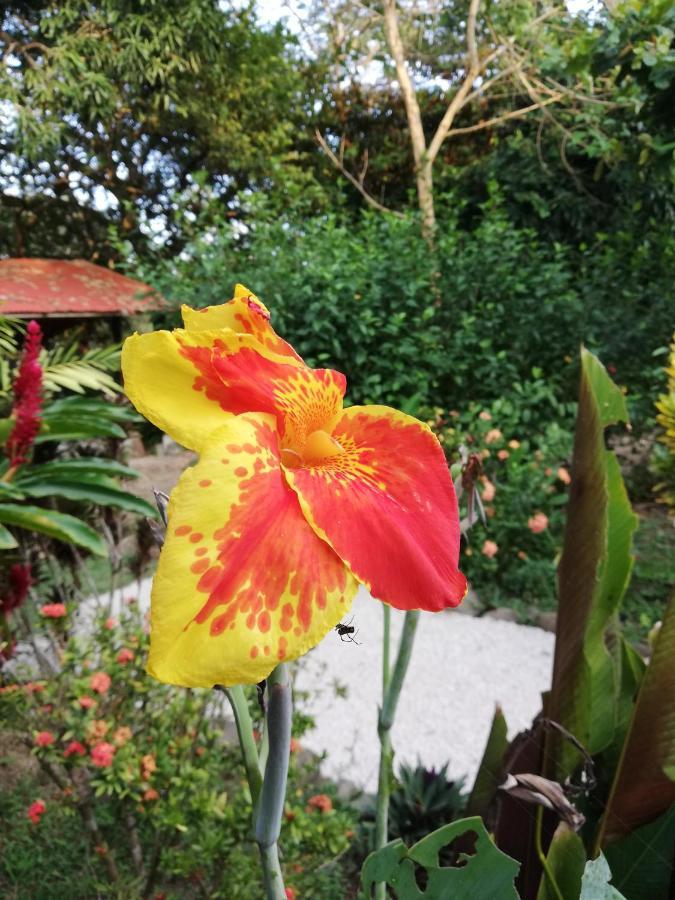 Bed and Breakfast Mundo Goub'Art Cabuya  Esterno foto